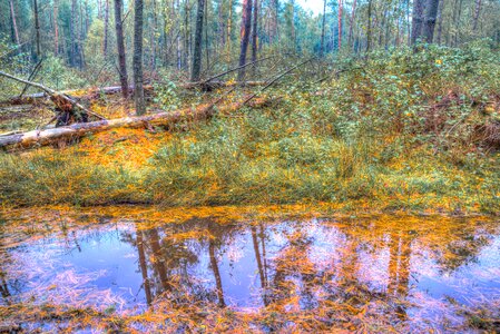 Mud wet outdoor