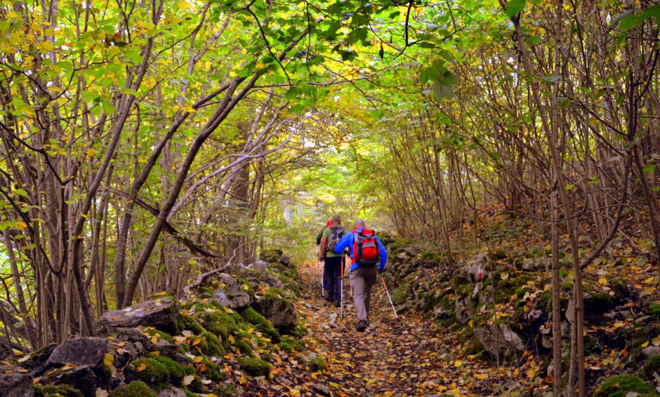 Trail walking with sticks mountain