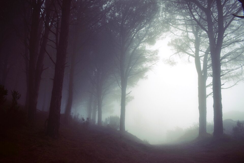 Landscape nature valley