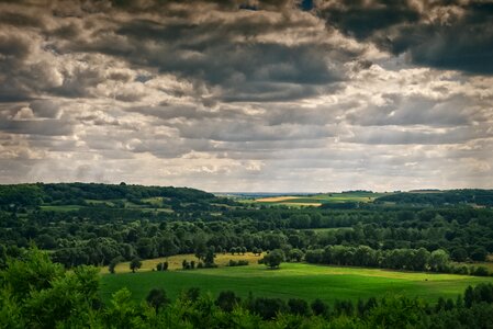 Hedgerow field horizon