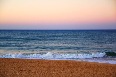 Algarve coast nature photo