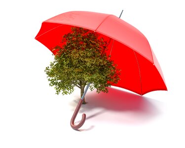 Safety nature umbrella