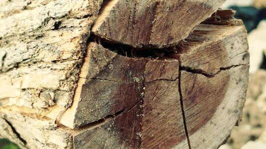Sawn timber lumber photo