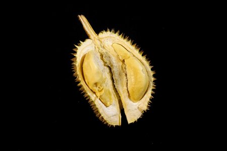 Delicious thorny fruit malaysia