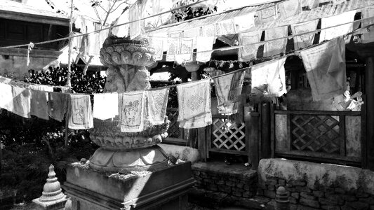 Worship buddhism monkey photo