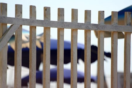 Fence picket fence wood photo