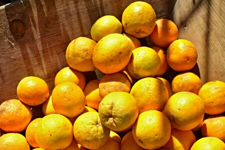 Of course citrus fruit fruit photo