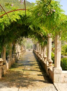 Botanical garden alfabia