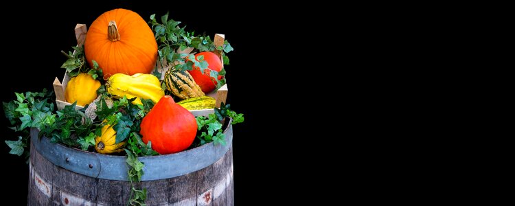 Agriculture pumpkin barrel