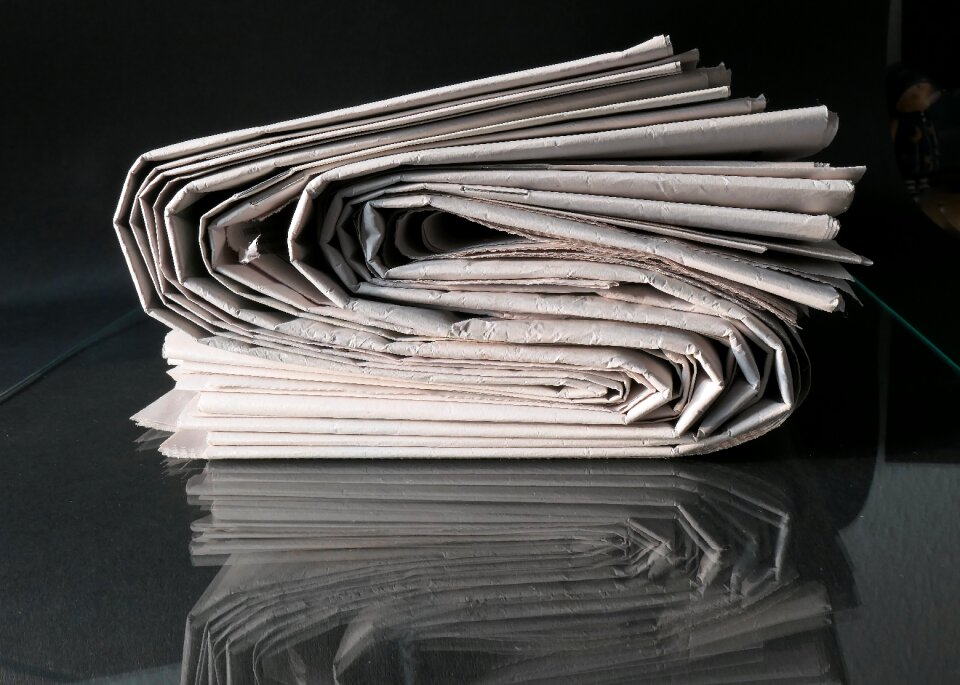 Freedom of the press article company