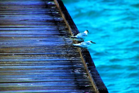 Blue neon colors scenery