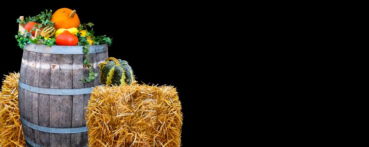 Agriculture pumpkin barrel
