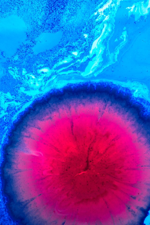 Artist pink blue