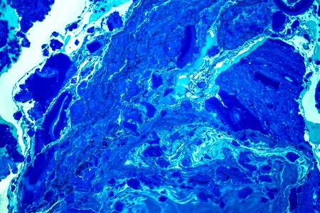 Blue artist blue painting