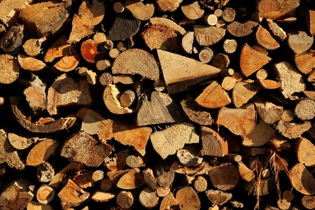 Holzstapel nature saw