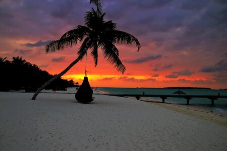 The coast sunset the tropical photo