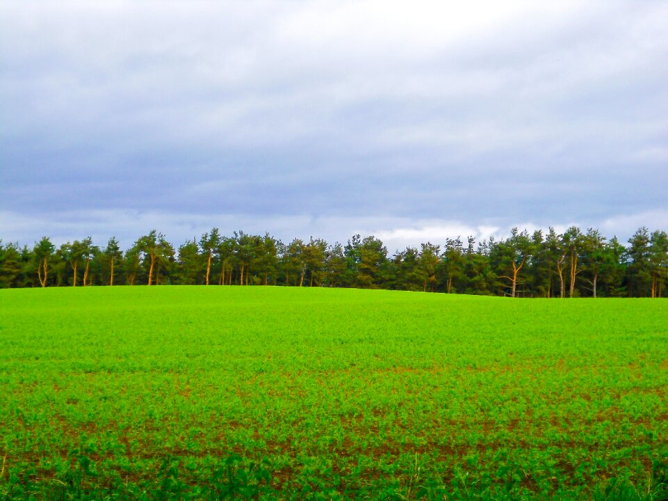 Field nature rural