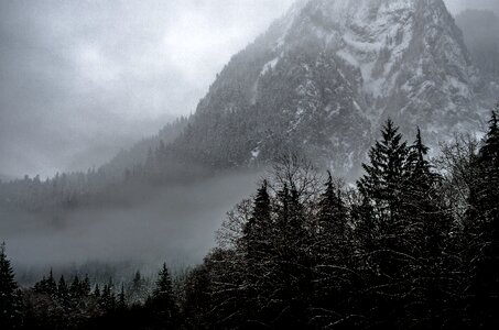 Summit peaks forests