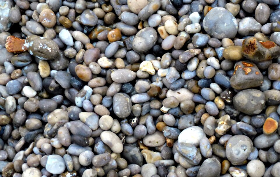 Wallpaper nature pavement