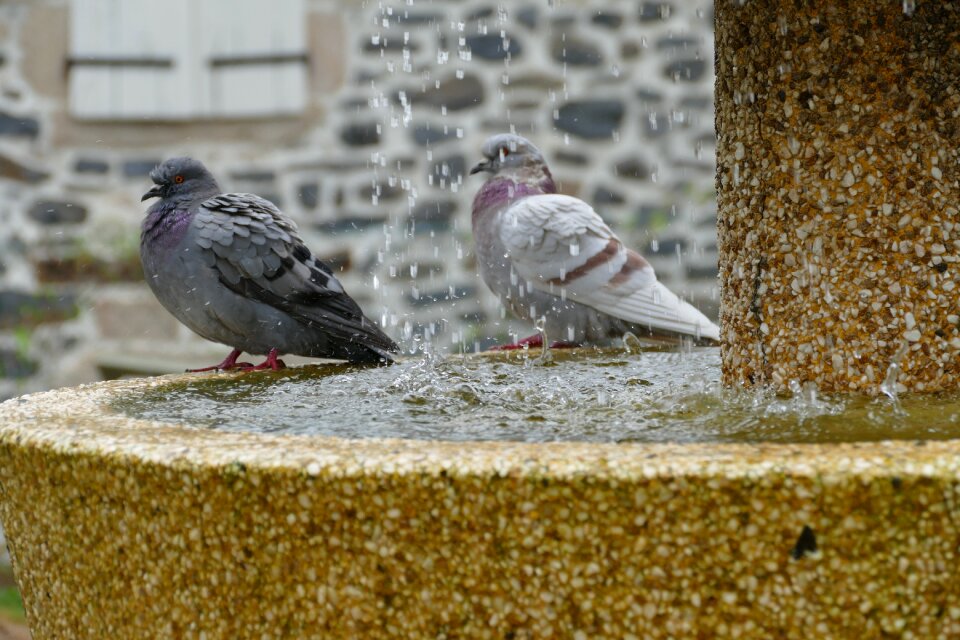 Couple torque fountain