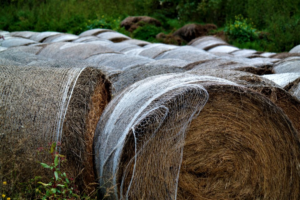 Agriculture round bales stock