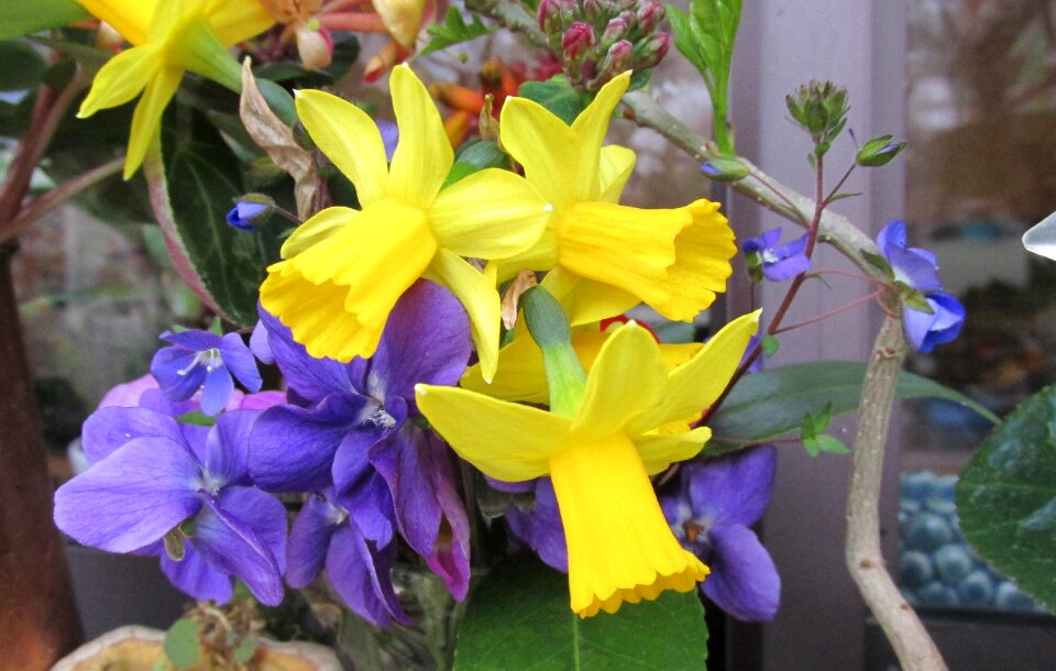 Spring season garden