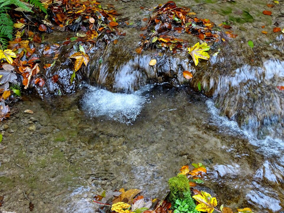 Waterfall forest nature