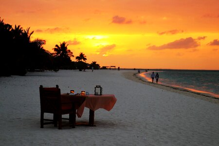 Characters palm trees maldives photo