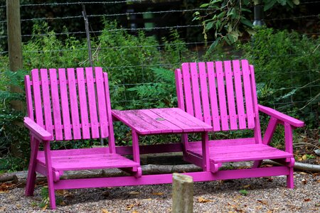 Bench pink garden