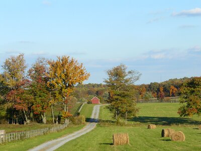 Straw agriculture farm photo