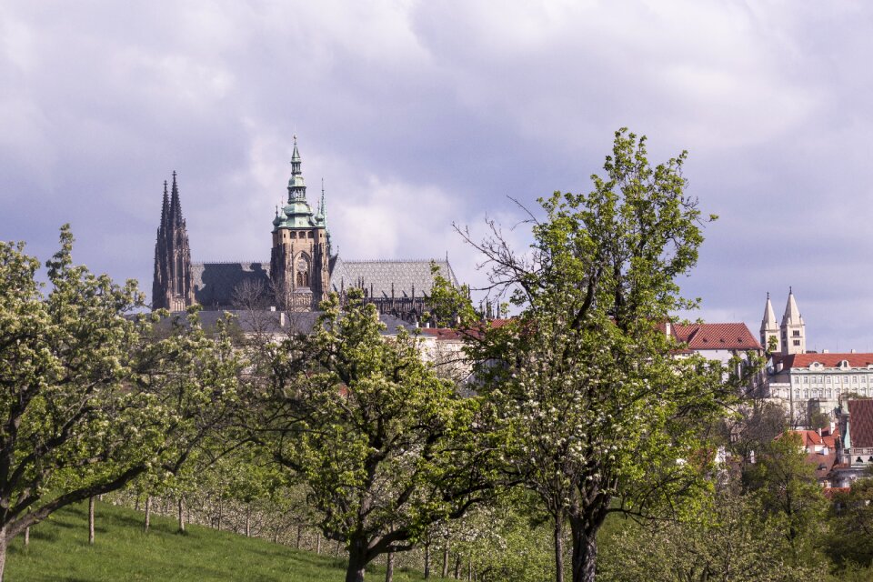 Praha prague castle historical city