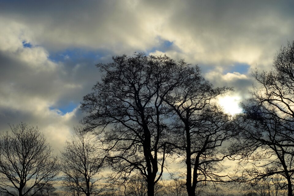Landscape sun winter