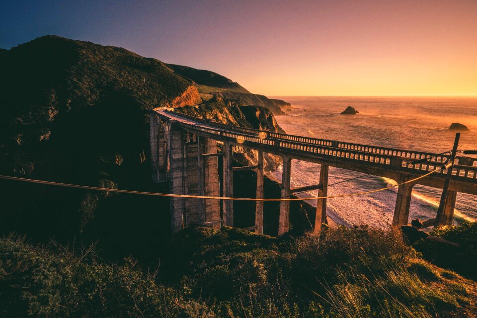 Grass coast shore