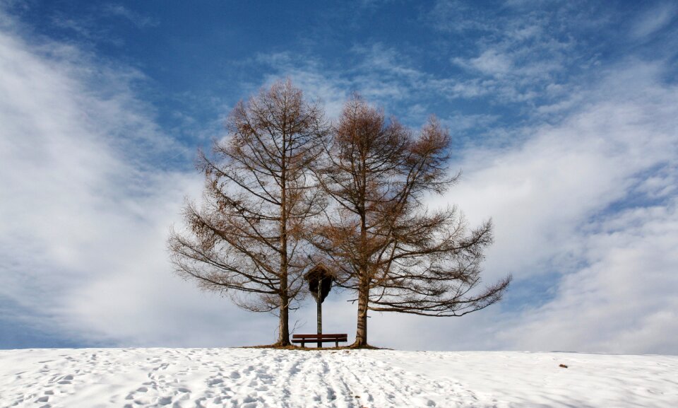 Cold frozen nature
