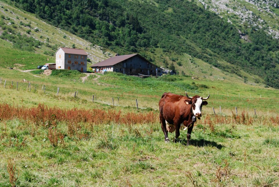 Landscape nature mountain