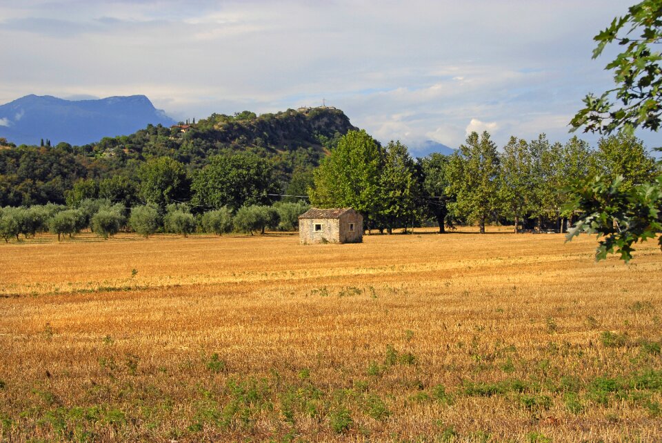 Nature tree farm