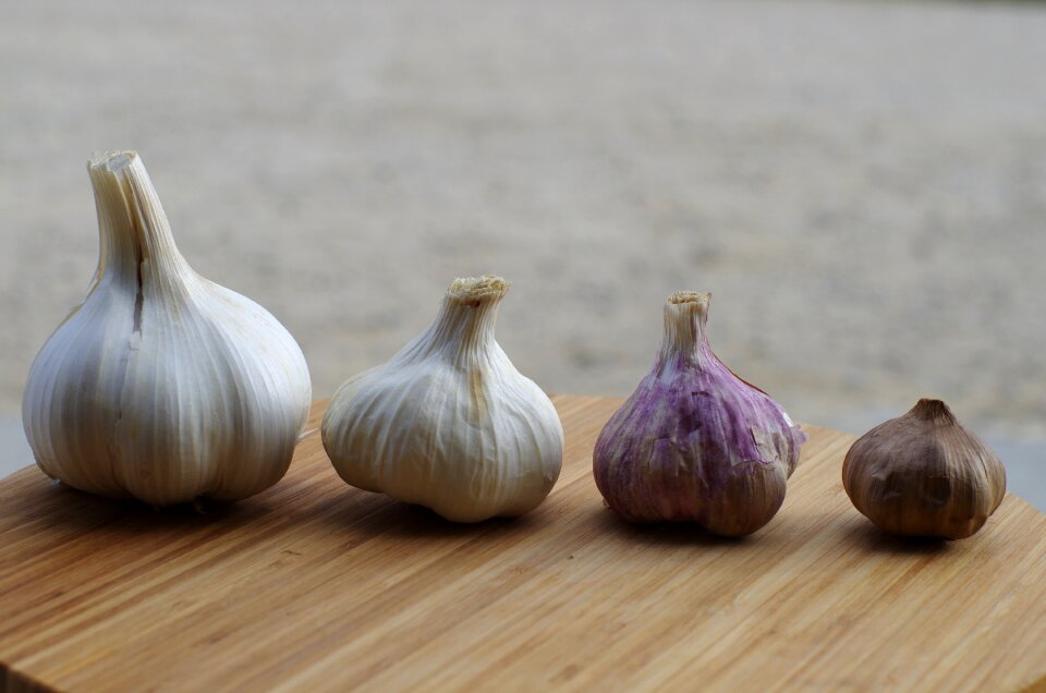 In good health kitchen garlic