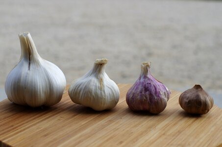 In good health kitchen garlic