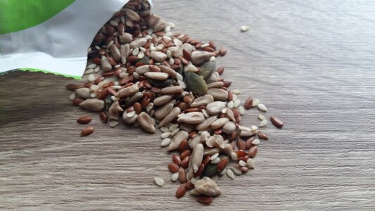 Snack healthy vegan