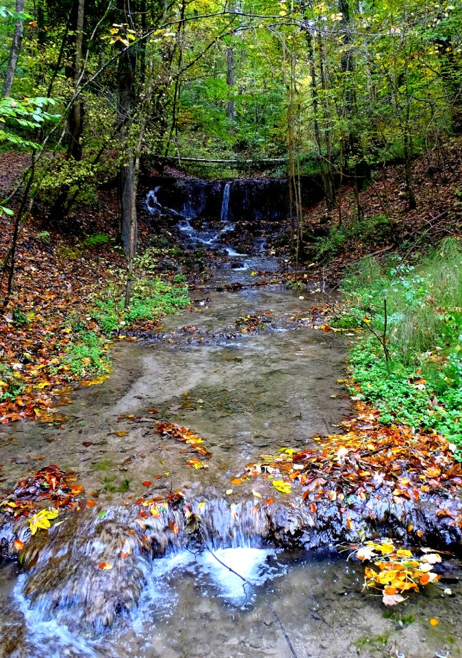 Watercourse water running water photo