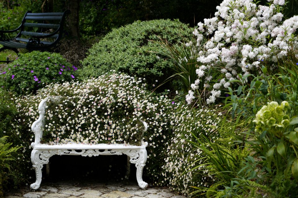 Park bench seating furniture garden photo