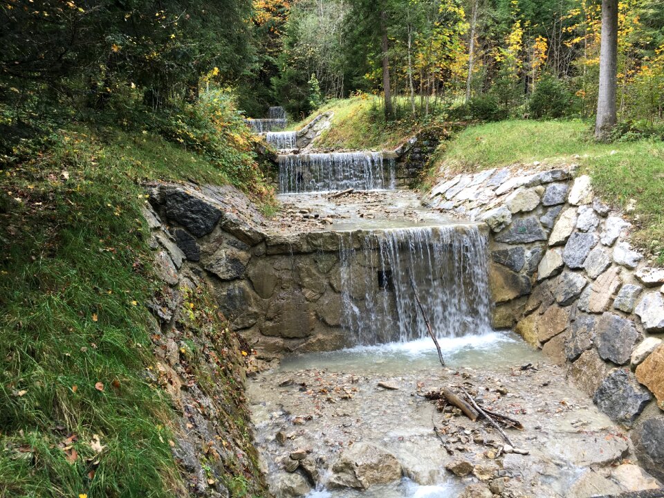 Flow forest feel nature