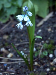 Outdoor no person spring