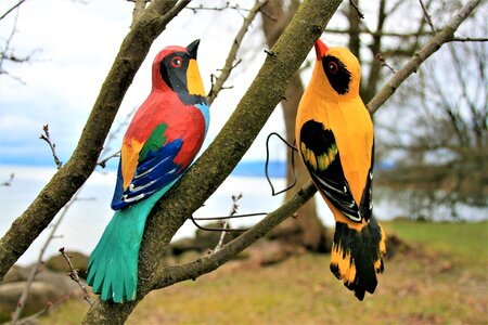 Wooden nature pen