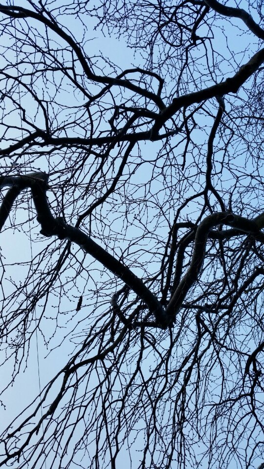 Sky nature season