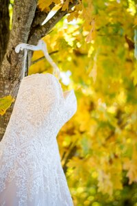 Dress wedding dress bride photo