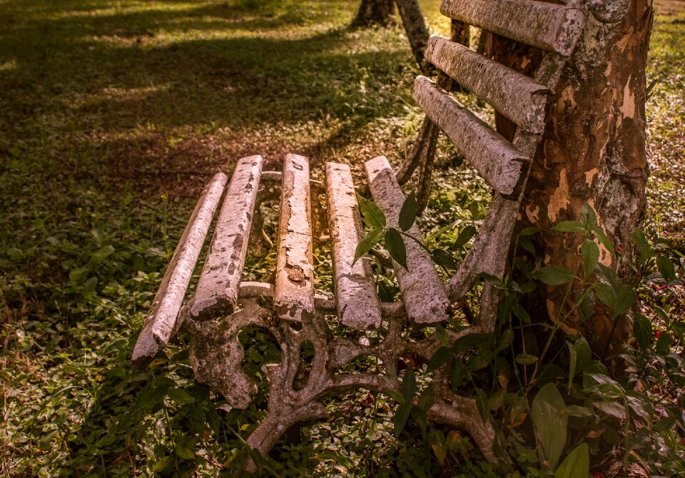 Farm landscape nature brazil