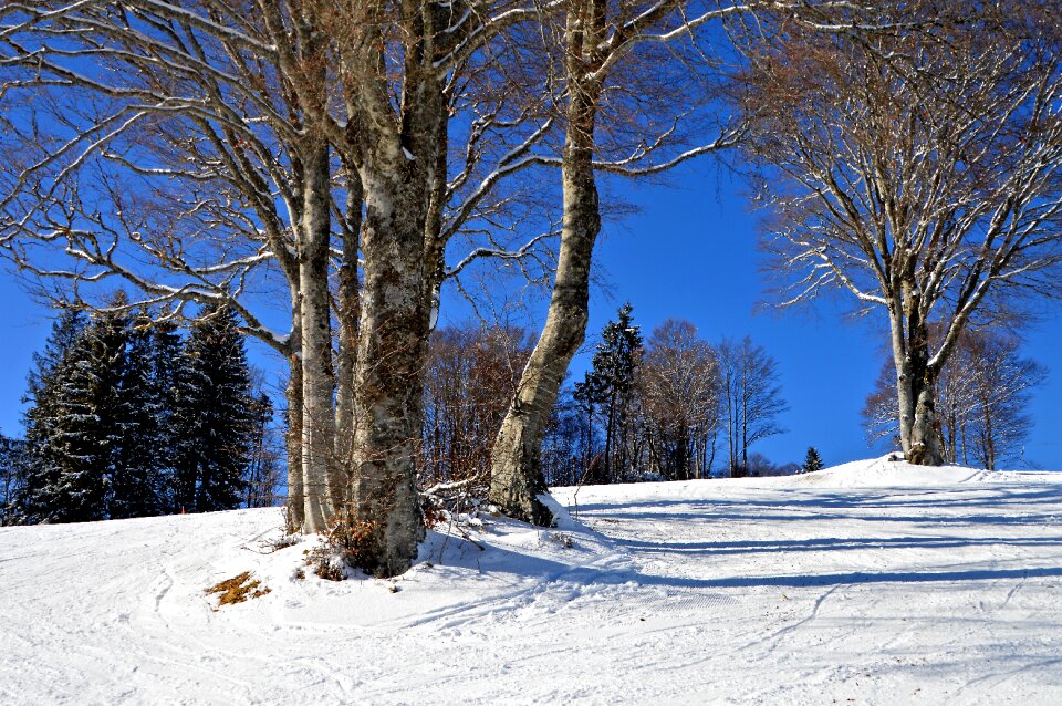 Beginners hill nature