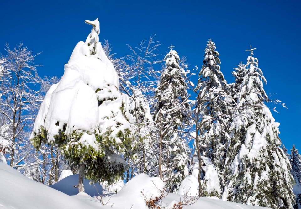 Snowy season winter