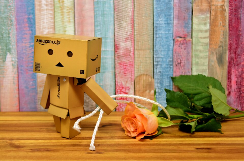 Roses flowers valentine's day